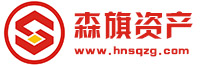 湖南森旗資產(chǎn)管理有限公司官網(wǎng)logo